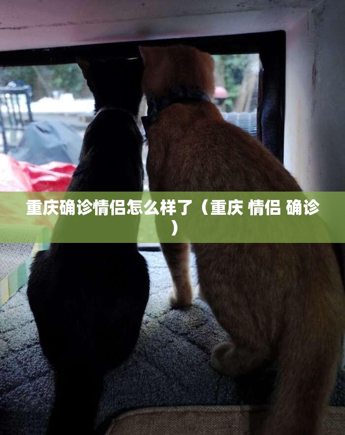 重庆确诊情侣怎么样了（重庆 情侣 确诊）