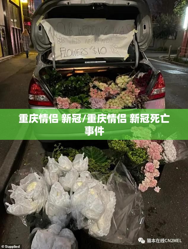 重庆情侣 新冠/重庆情侣 新冠死亡事件