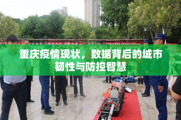 重庆疫情现状，数据背后的城市韧性与防控智慧