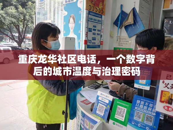 重庆龙华社区电话，一个数字背后的城市温度与治理密码