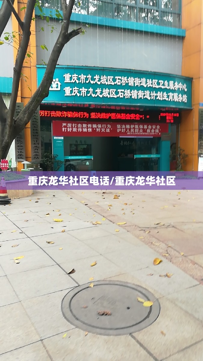 重庆龙华社区电话/重庆龙华社区