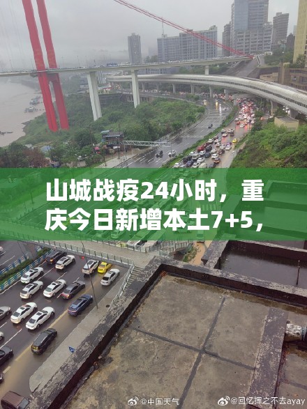 山城战疫24小时，重庆今日新增本土7+5，防控网络在暴雨中筑牢