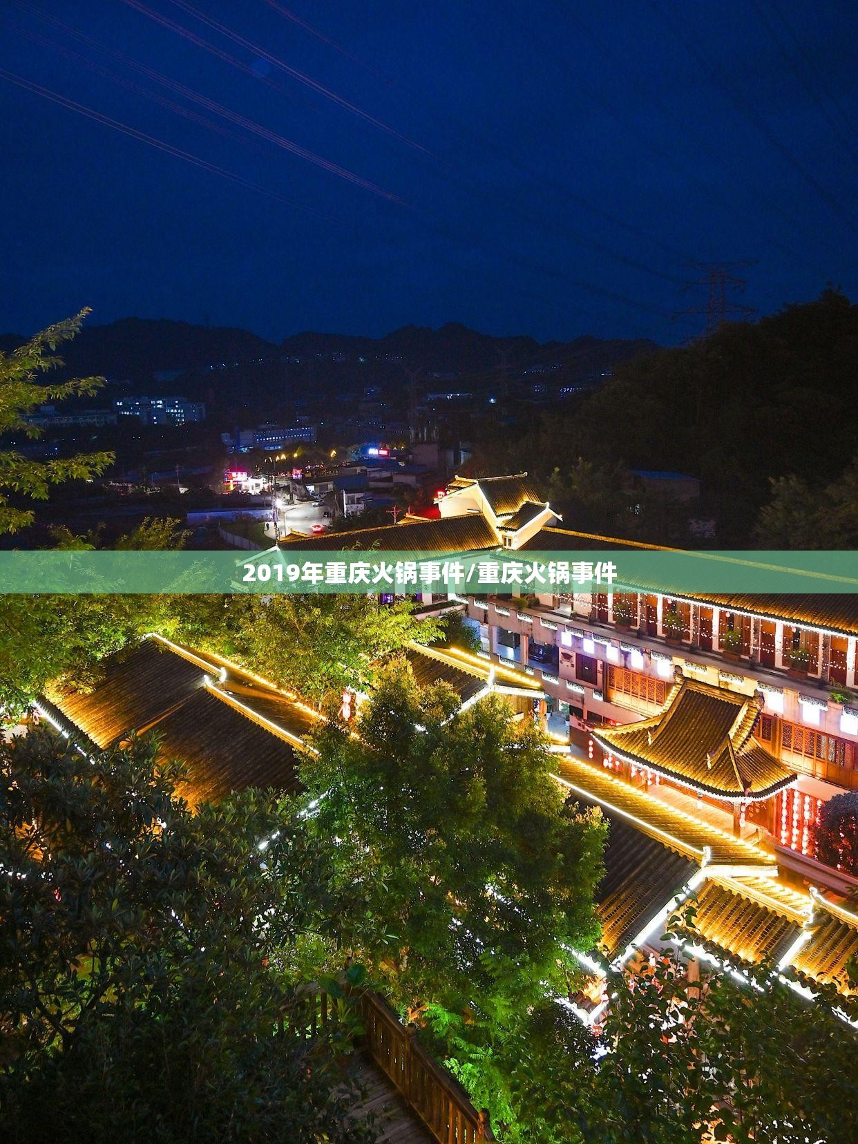 2019年重庆火锅事件/重庆火锅事件