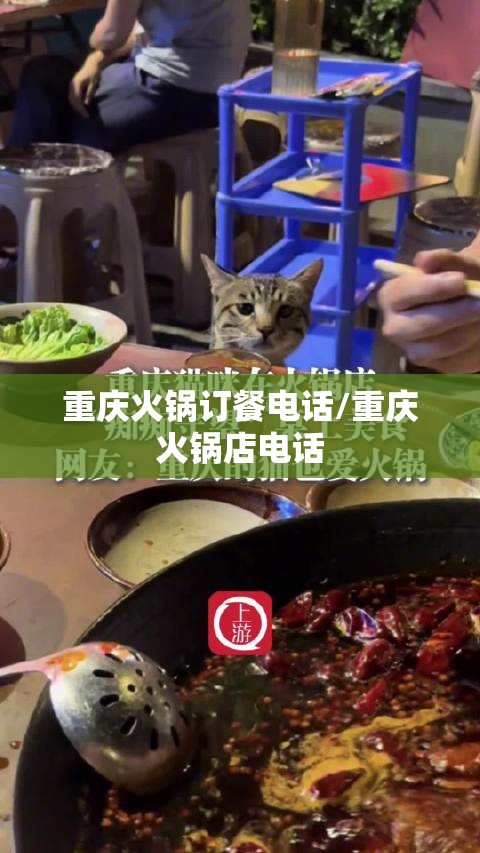 重庆火锅订餐电话/重庆火锅店电话