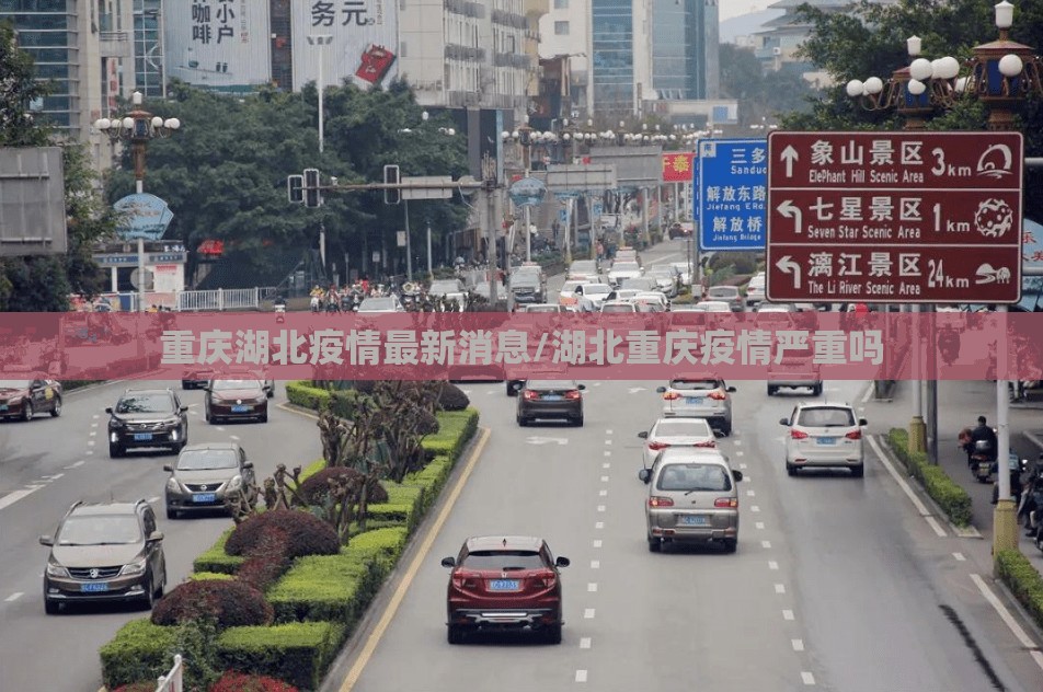 重庆湖北疫情最新消息/湖北重庆疫情严重吗