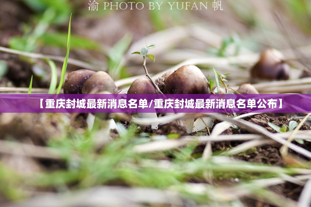 【重庆封城最新消息名单/重庆封城最新消息名单公布】