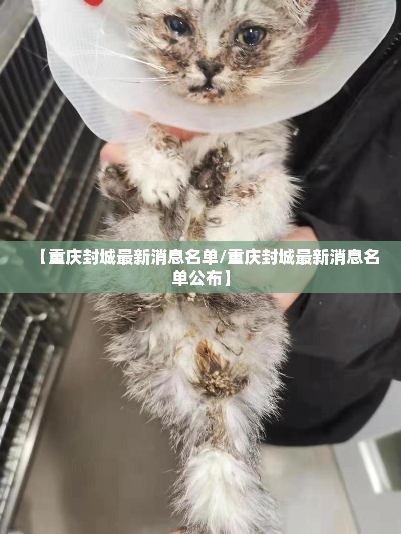 【重庆封城最新消息名单/重庆封城最新消息名单公布】