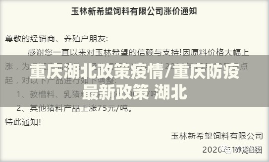 重庆湖北政策疫情/重庆防疫最新政策 湖北