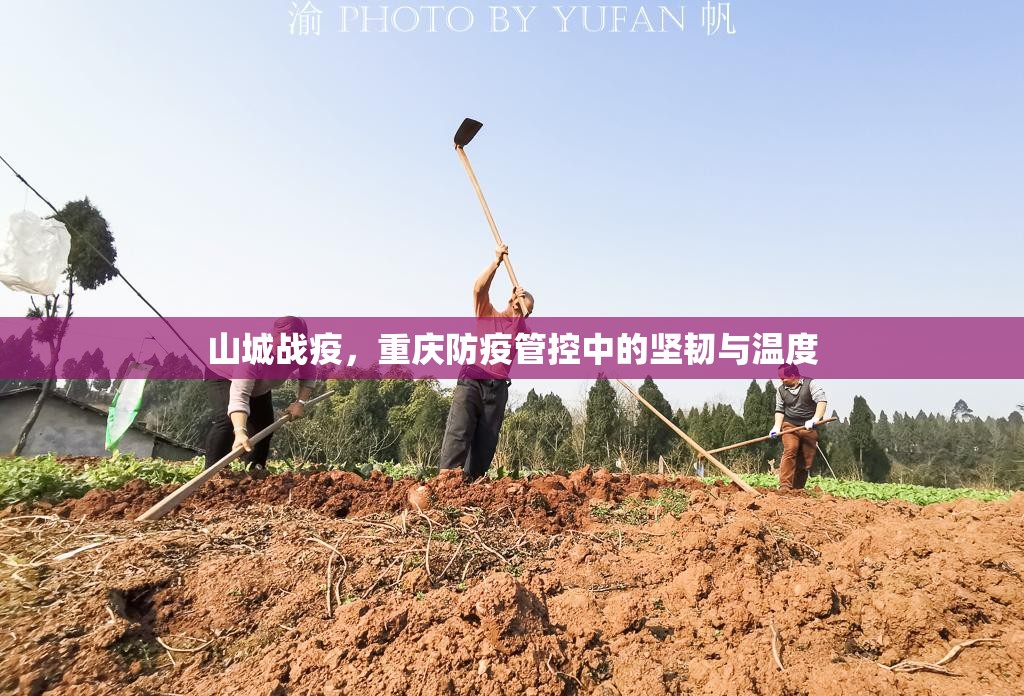 山城战疫，重庆防疫管控中的坚韧与温度