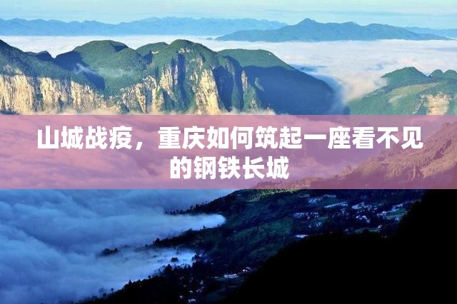 山城战疫，重庆如何筑起一座看不见的钢铁长城