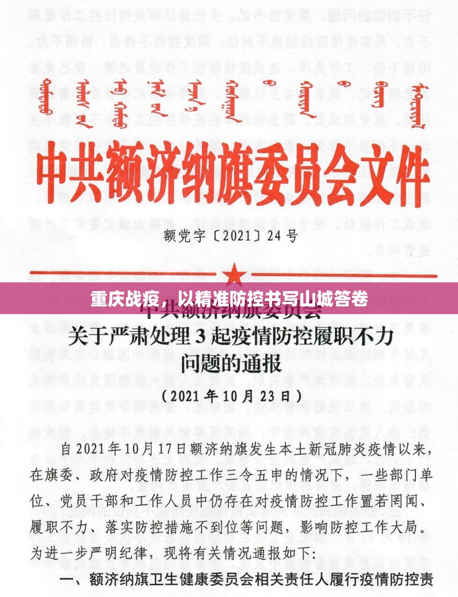 重庆战疫，以精准防控书写山城答卷