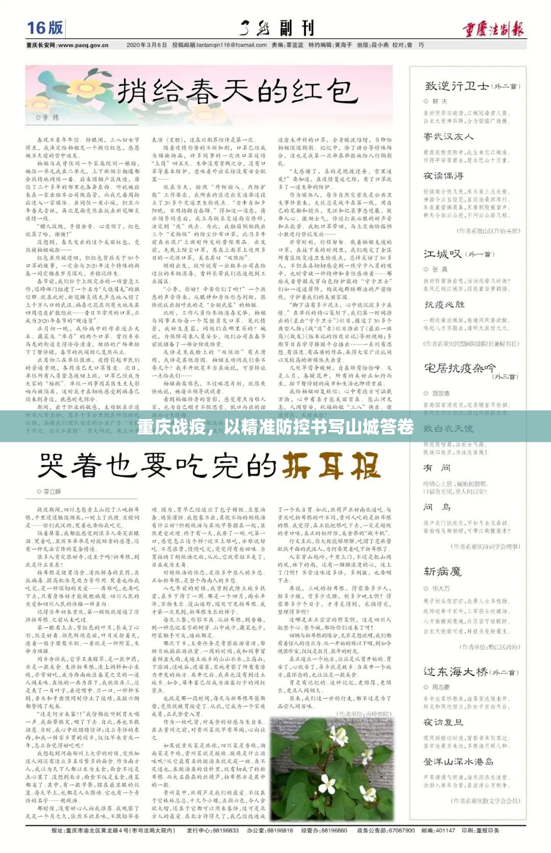 重庆战疫，以精准防控书写山城答卷