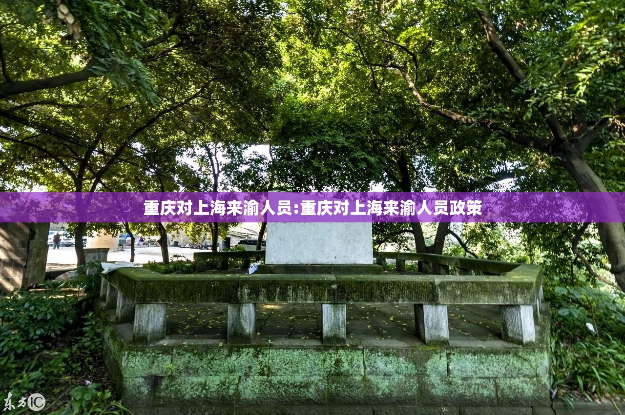 重庆对上海来渝人员:重庆对上海来渝人员政策