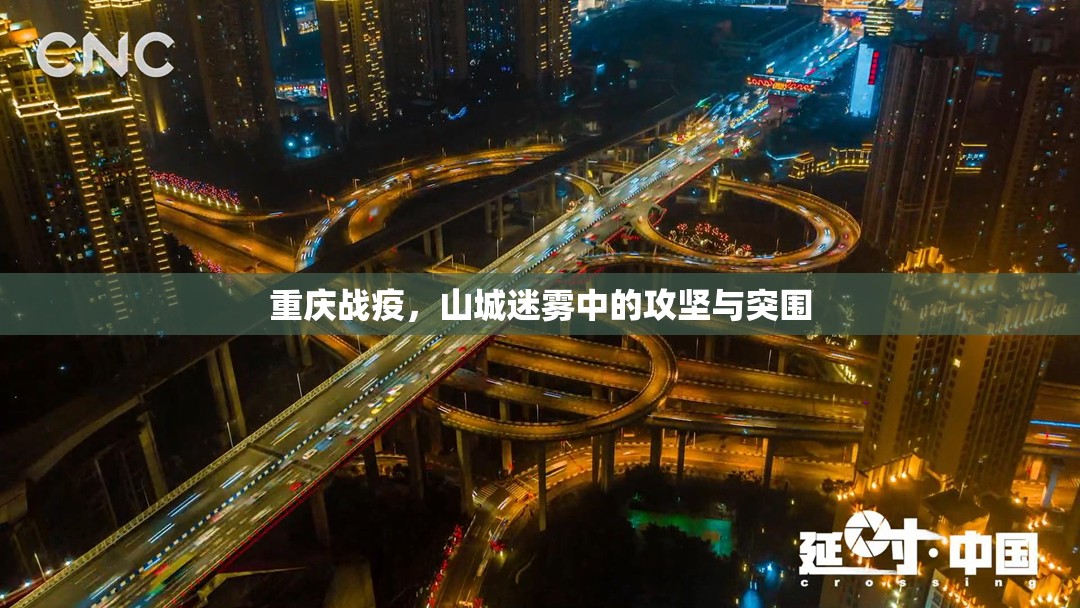 重庆战疫，山城迷雾中的攻坚与突围