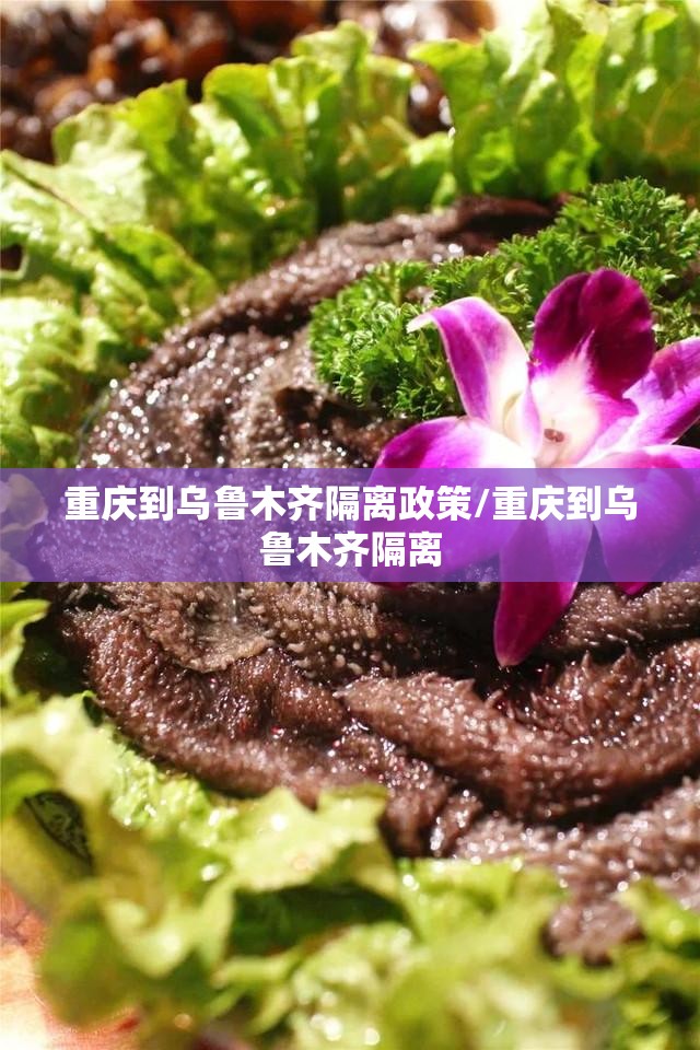 重庆到乌鲁木齐隔离政策/重庆到乌鲁木齐隔离