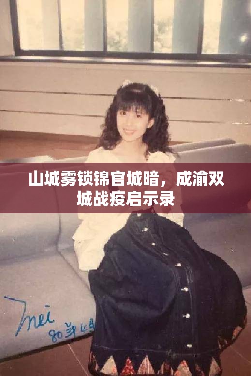 山城雾锁锦官城暗，成渝双城战疫启示录