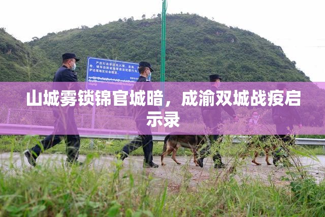 山城雾锁锦官城暗，成渝双城战疫启示录