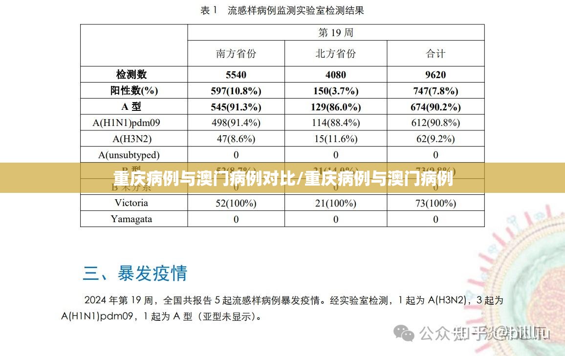 重庆病例与澳门病例对比/重庆病例与澳门病例