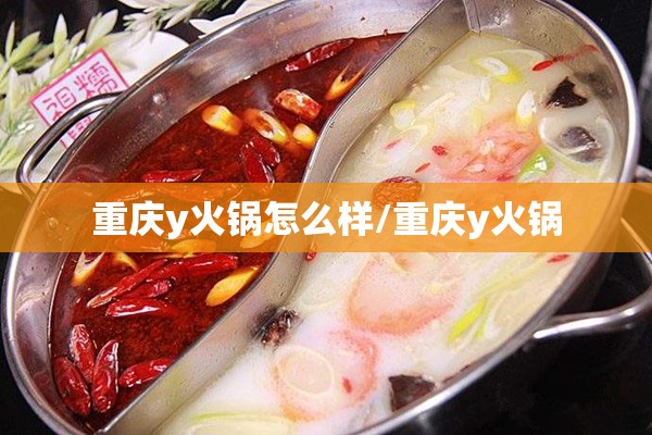 重庆y火锅怎么样/重庆y火锅