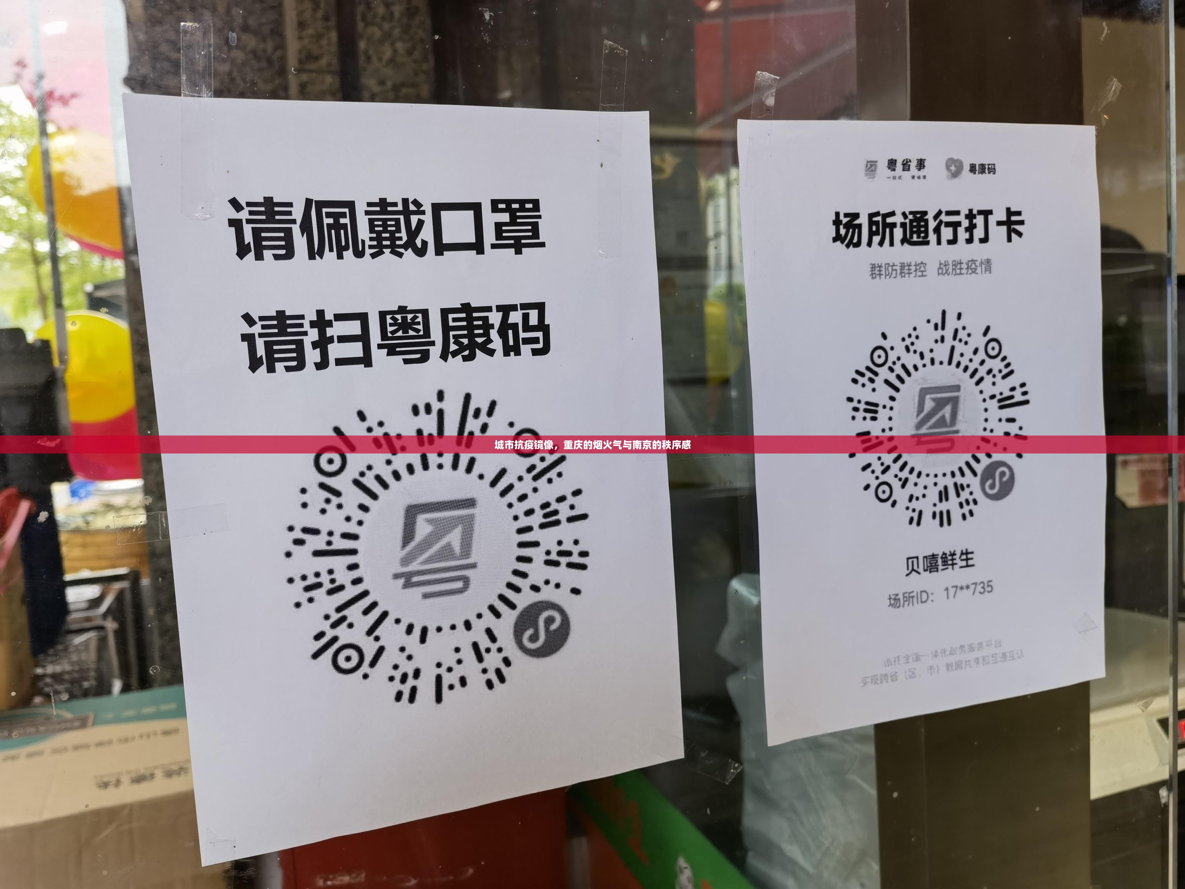 城市抗疫镜像，重庆的烟火气与南京的秩序感
