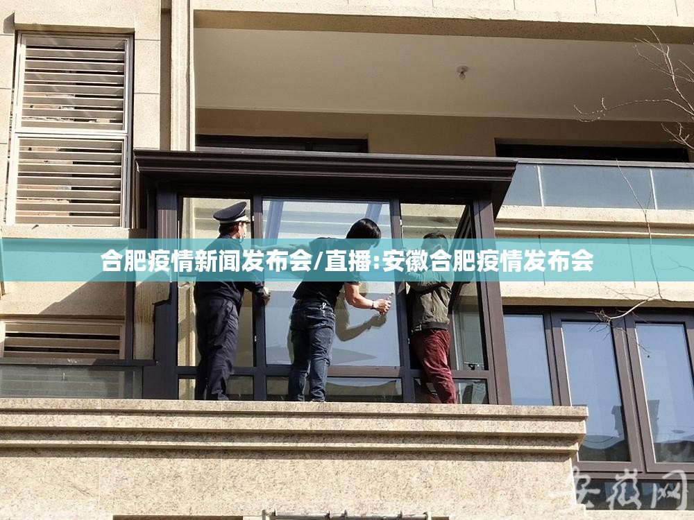 合肥疫情新闻发布会/直播:安徽合肥疫情发布会