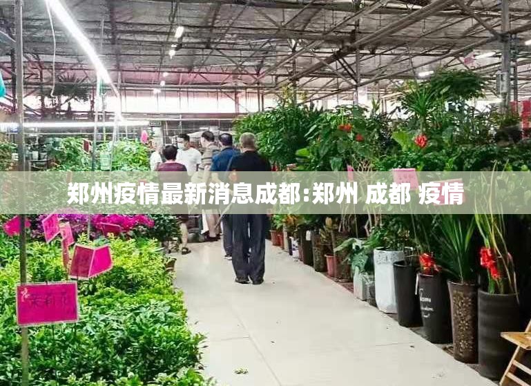 郑州疫情最新消息成都:郑州 成都 疫情