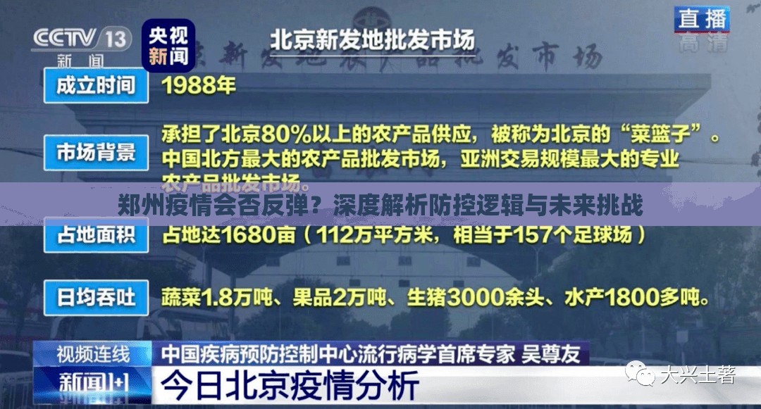郑州疫情会否反弹？深度解析防控逻辑与未来挑战