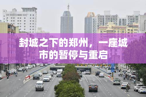 封城之下的郑州，一座城市的暂停与重启