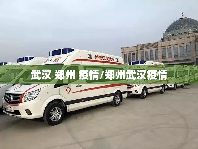 武汉 郑州 疫情/郑州武汉疫情