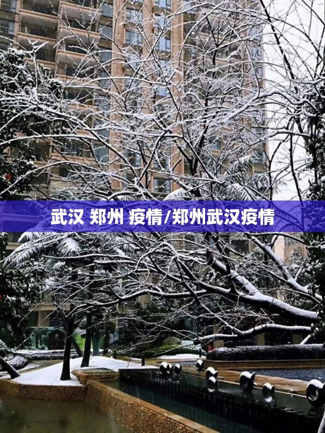 武汉 郑州 疫情/郑州武汉疫情