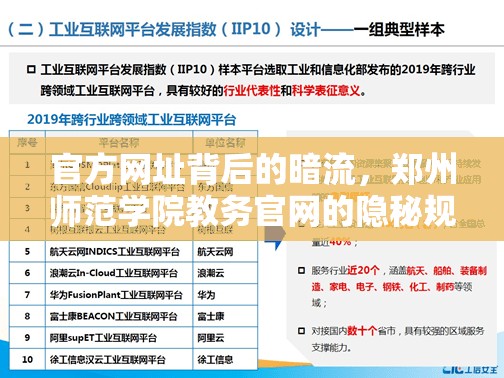 官方网址背后的暗流，郑州师范学院教务官网的隐秘规训