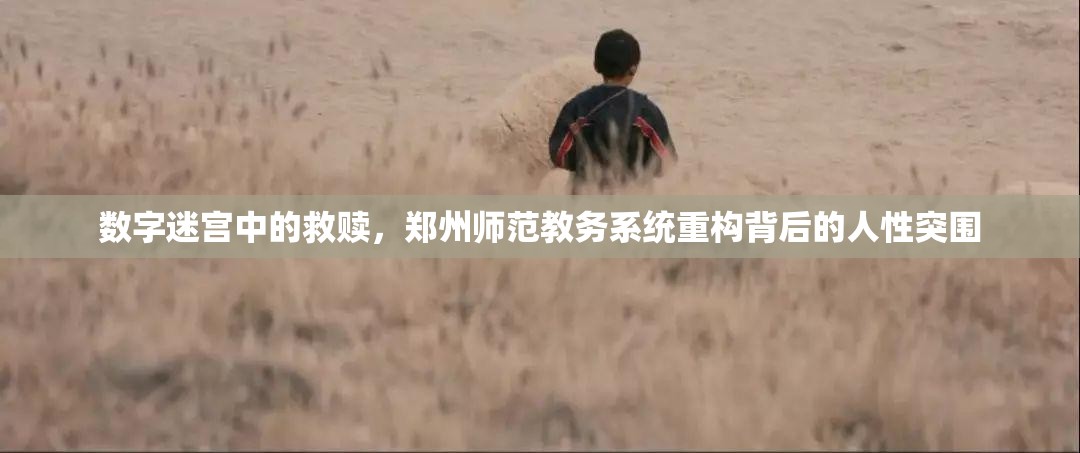 数字迷宫中的救赎，郑州师范教务系统重构背后的人性突围