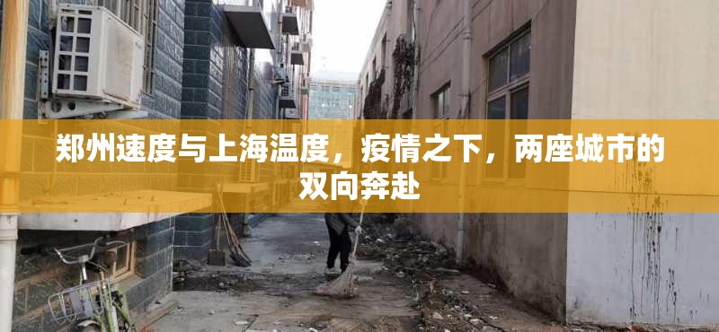 郑州速度与上海温度，疫情之下，两座城市的双向奔赴