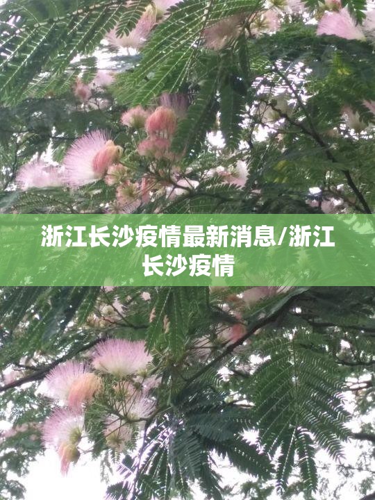 浙江长沙疫情最新消息/浙江长沙疫情