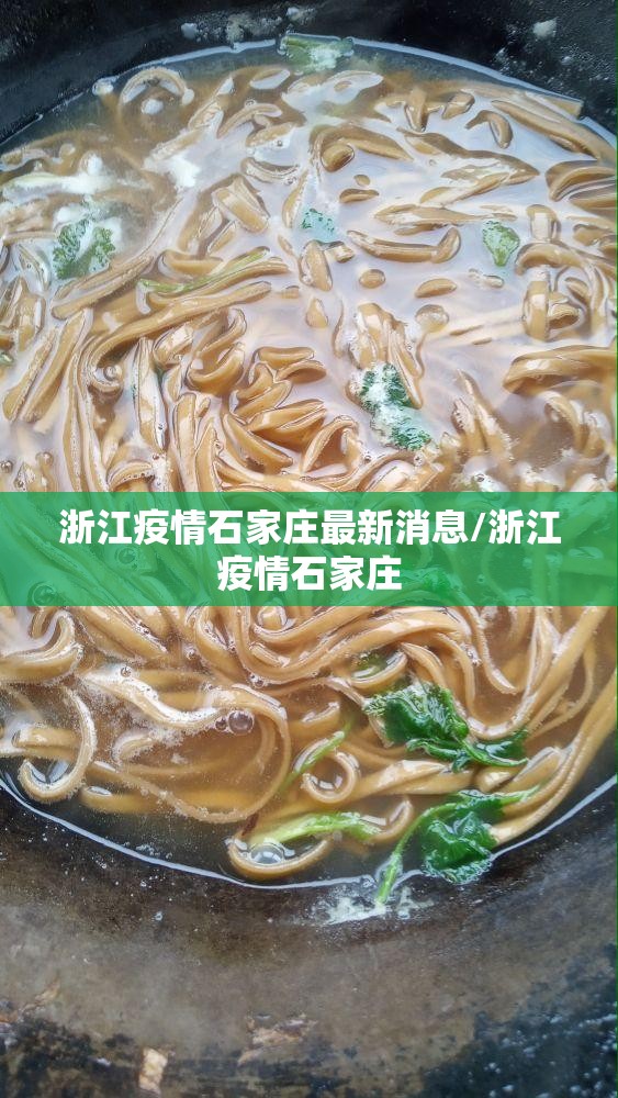 浙江疫情石家庄最新消息/浙江疫情石家庄