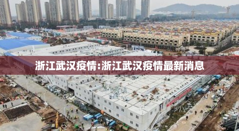 浙江武汉疫情:浙江武汉疫情最新消息