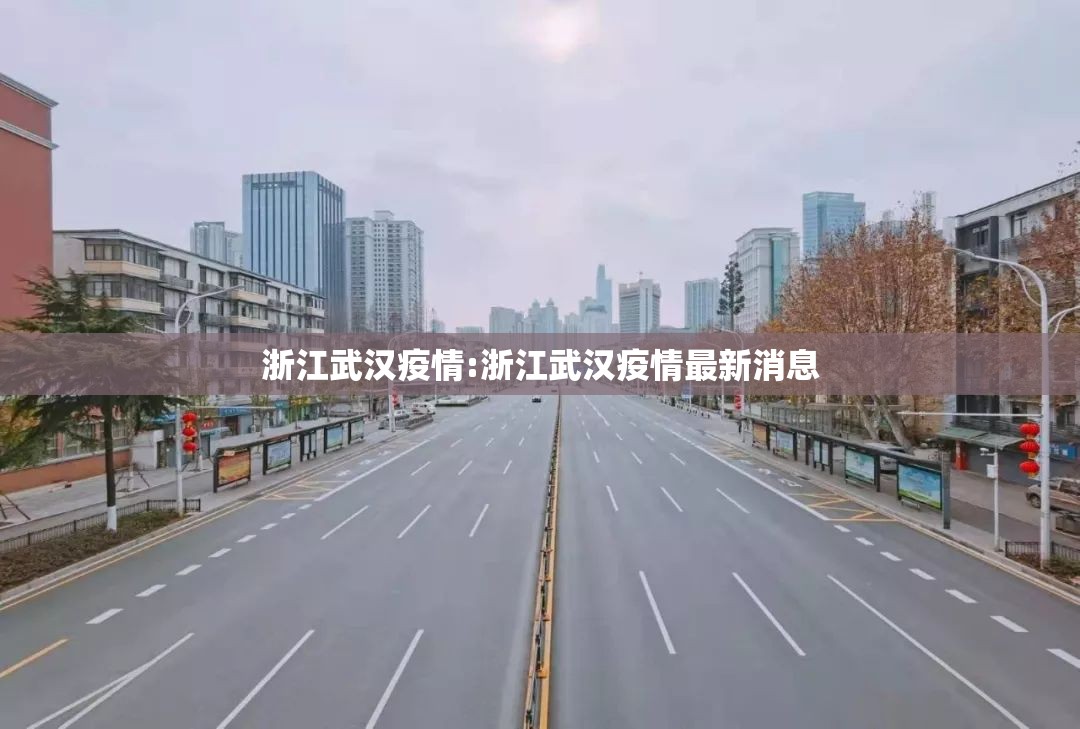 浙江武汉疫情:浙江武汉疫情最新消息