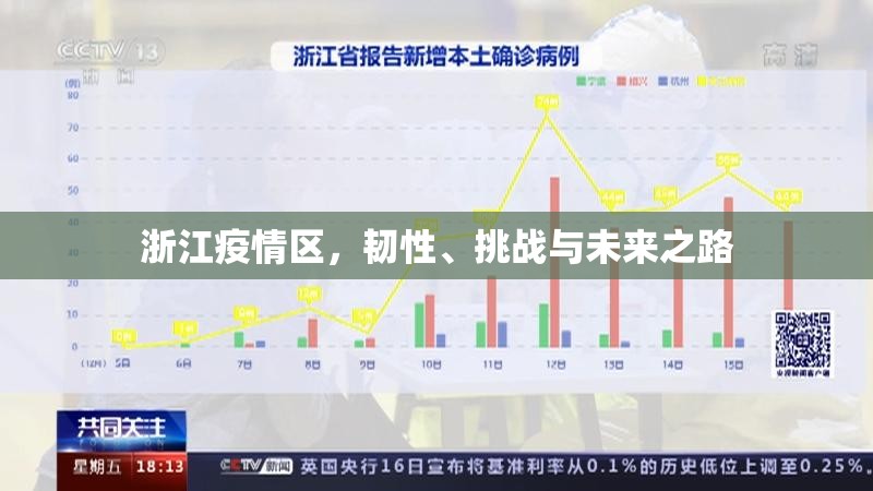 浙江疫情区，韧性、挑战与未来之路