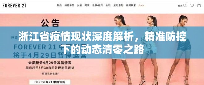 浙江省疫情现状深度解析，精准防控下的动态清零之路