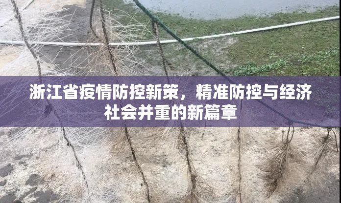浙江省疫情防控新策，精准防控与经济社会并重的新篇章