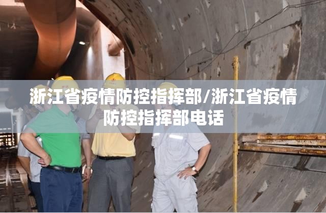 浙江省疫情防控指挥部/浙江省疫情防控指挥部电话