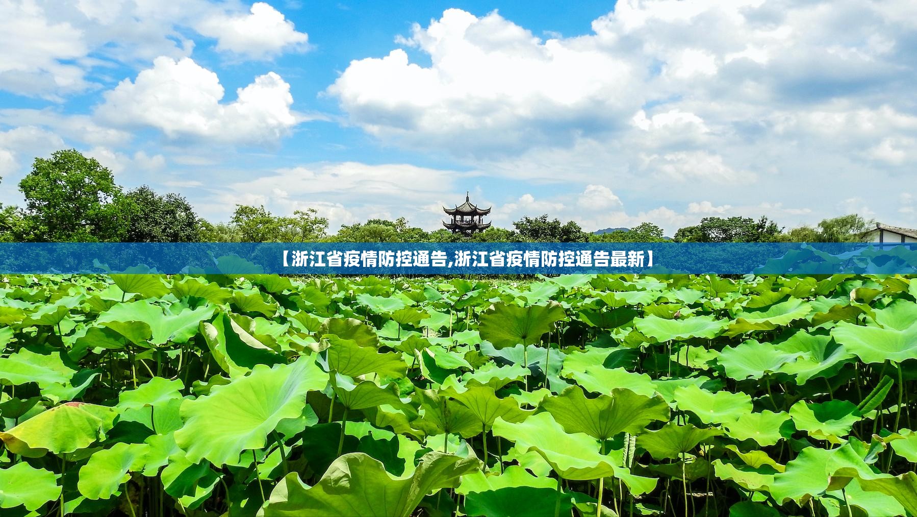 【浙江省疫情防控通告,浙江省疫情防控通告最新】