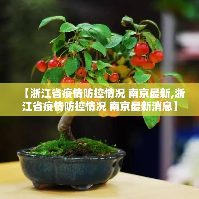 【浙江省疫情防控情况 南京最新,浙江省疫情防控情况 南京最新消息】