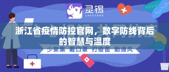 浙江省疫情防控官网，数字防线背后的智慧与温度