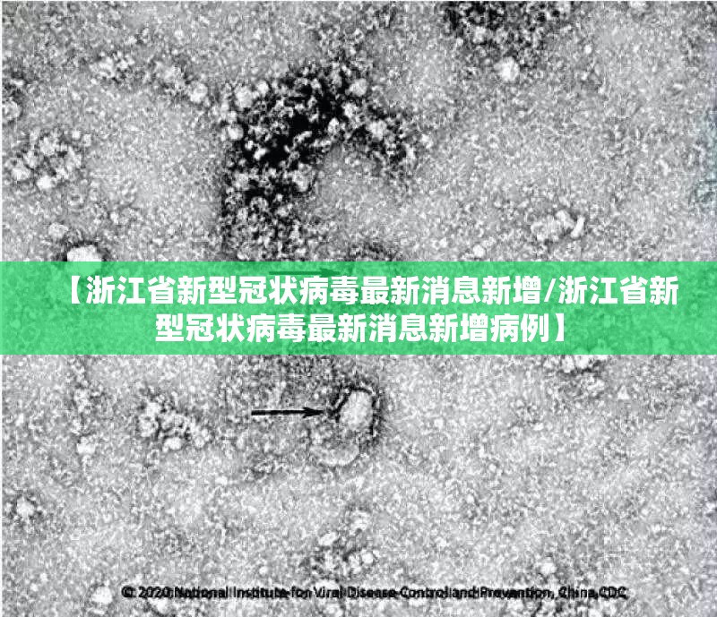 【浙江省新型冠状病毒最新消息新增/浙江省新型冠状病毒最新消息新增病例】