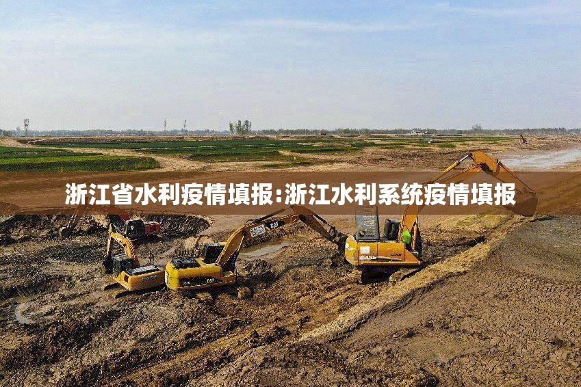 浙江省水利疫情填报:浙江水利系统疫情填报