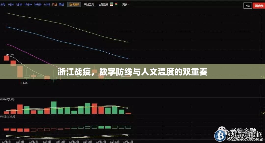 浙江战疫，数字防线与人文温度的双重奏