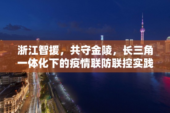 浙江智援，共守金陵，长三角一体化下的疫情联防联控实践