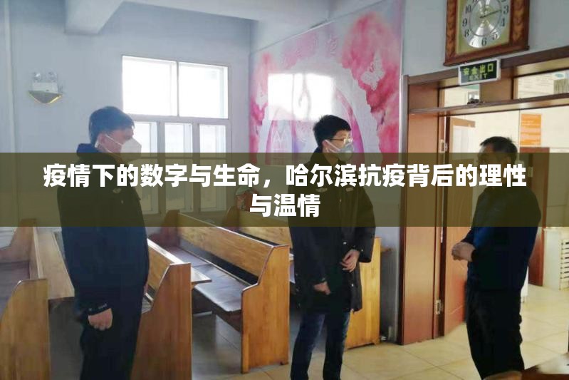 疫情下的数字与生命，哈尔滨抗疫背后的理性与温情