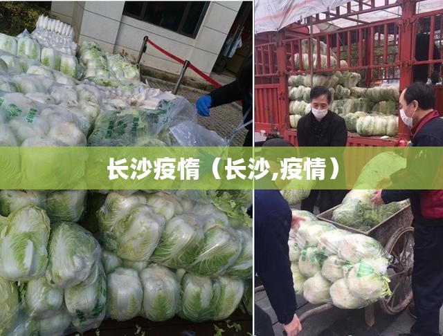 长沙疫惰（长沙,疫情）